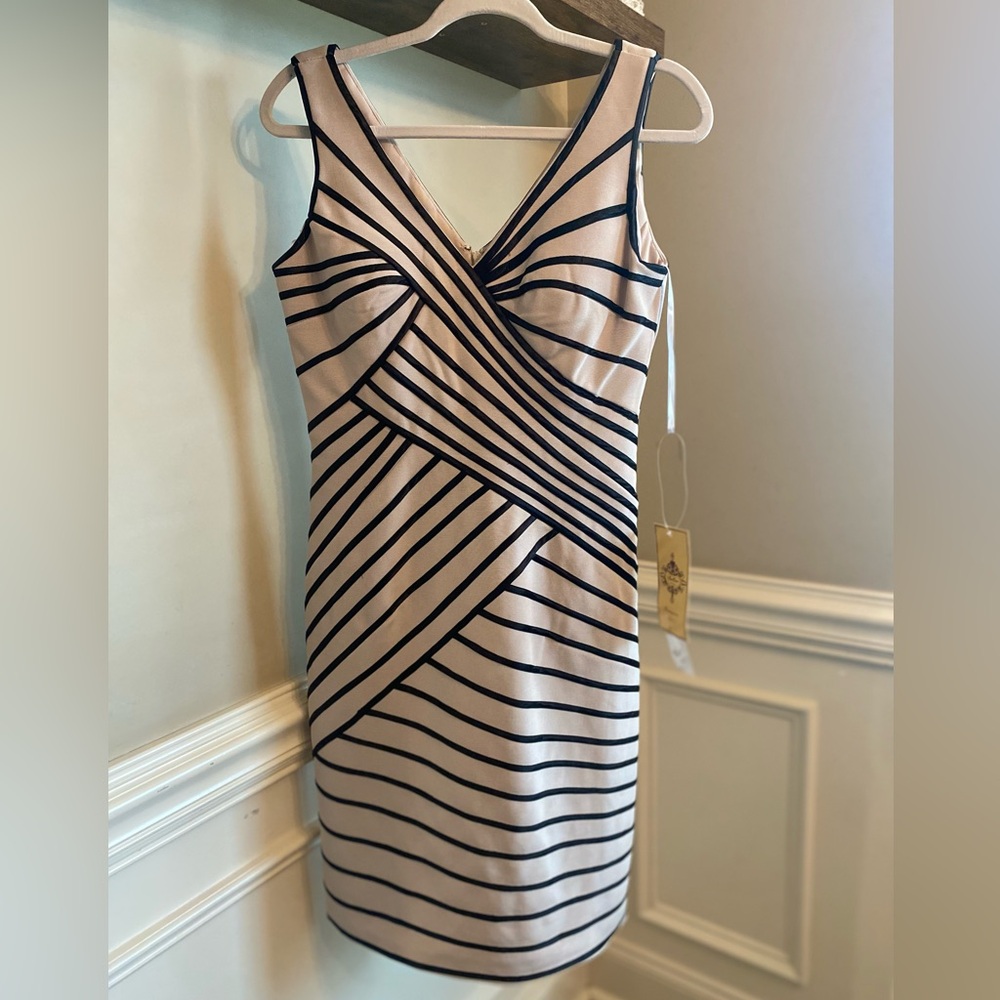 Dollar Beige Dress